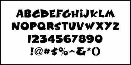 Wild Time JNL Font Poster 3