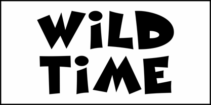 Wild Time JNL Font Poster 2
