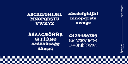Spaice Font Poster 2