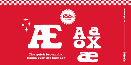 Spaice Font Poster 3