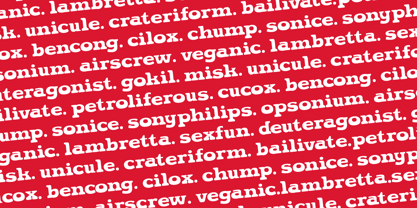 Spaice Font Poster 5