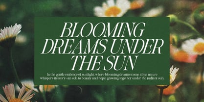 Glisstory Font Poster 9