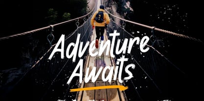 Janyss Brush Font Poster 2