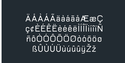 Halogeton Font Poster 6