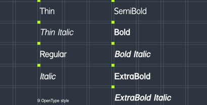 Halogeton Font Poster 5