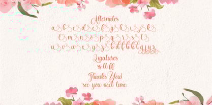 Jacyking Font Poster 8