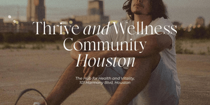 Perfect Harmony Font Poster 7