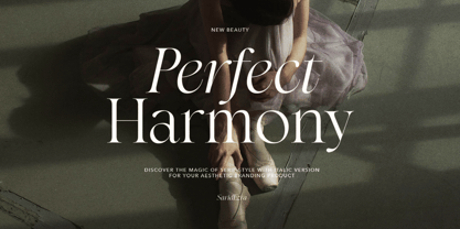 Perfect Harmony Font Poster 1