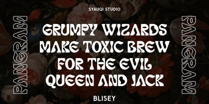 Blisey Font Poster 6