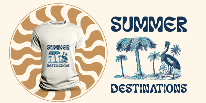 Blisey Font Poster 9