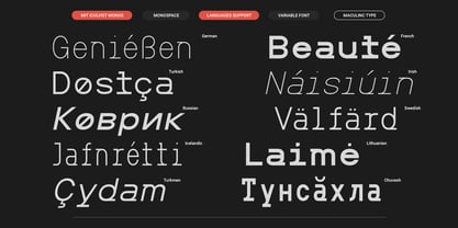 MIT Iculvist Monos Font Poster 9