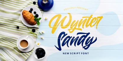 Wynter Sandy Font Poster 1