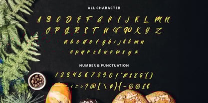 Wynter Sandy Font Poster 6