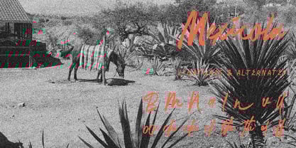 La Placha Font Poster 2