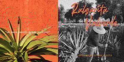 La Placha Font Poster 5