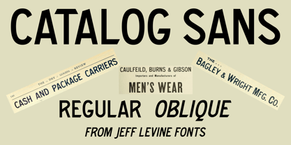Catalog Sans JNL Font Poster 1