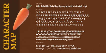 Bright Rustic Font Poster 15