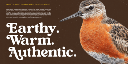 Bright Rustic Font Poster 13