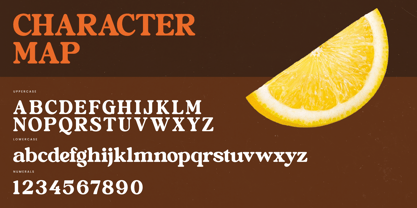 Bright Rustic Font Poster 14