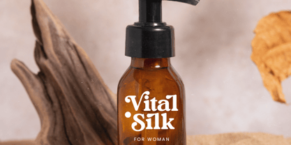 Bright Rustic Font Poster 7