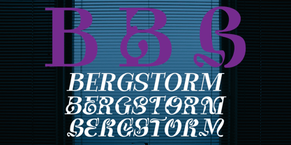 Bergstorm Font Poster 7