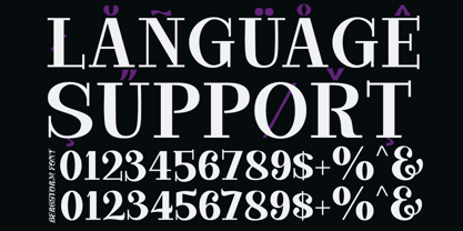 Bergstorm Font Poster 10