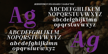 Bergstorm Font Poster 2