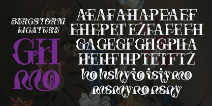 Bergstorm Font Poster 4