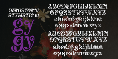 Bergstorm Font Poster 6