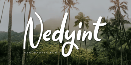 Nedyint Font Poster 1