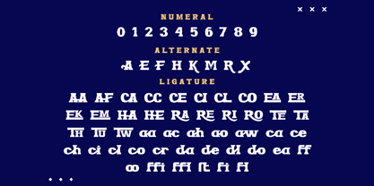 Enroz Font Poster 11