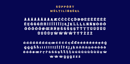 Enroz Font Poster 12