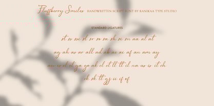 Fluffyberry Smiles Font Poster 8