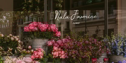 Fluffyberry Smiles Font Poster 4