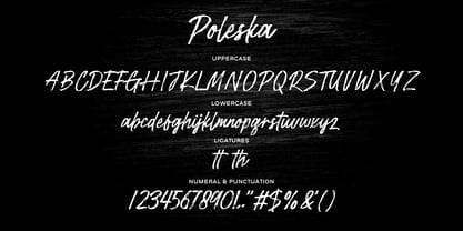 Poleska Font Poster 15