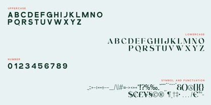 Condire Mixed Font Poster 3