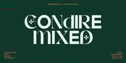 Condire Mixed Font Poster 1