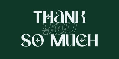 Condire Mixed Font Poster 11