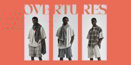 Condire Mixed Font Poster 7