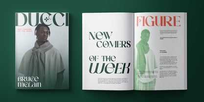 Condire Mixed Font Poster 8