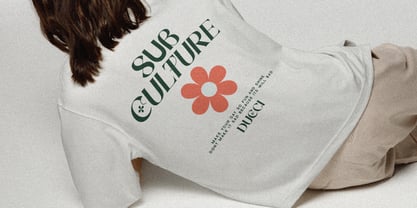 Condire Mixed Font Poster 10