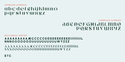 Condire Mixed Font Poster 4