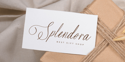 Savanah Glamour Font Poster 6