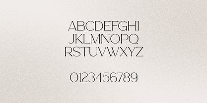 Noble Type Font Poster 10