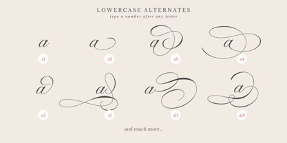 Beyong Perfection Font Poster 14