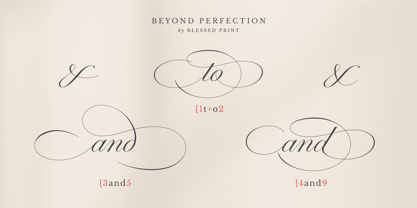 Beyong Perfection Font Poster 12