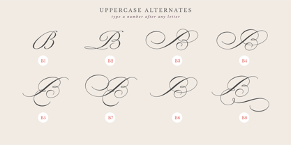 Beyong Perfection Font Poster 13