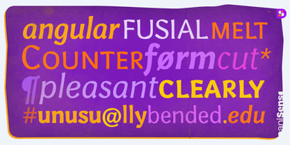 Velma Font Poster 11