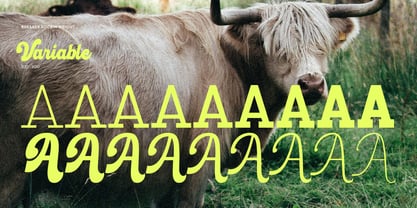 Breaker Rockin Font Poster 8