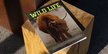 Breaker Rockin Font Poster 9